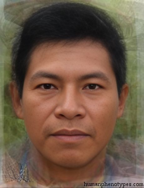 File:Westamazonidm.jpg