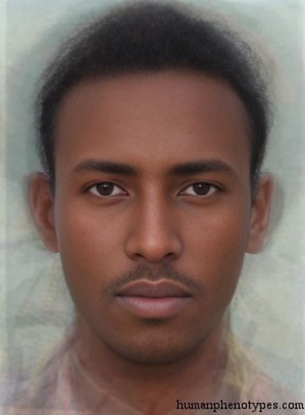File:Ethiopidm.jpg