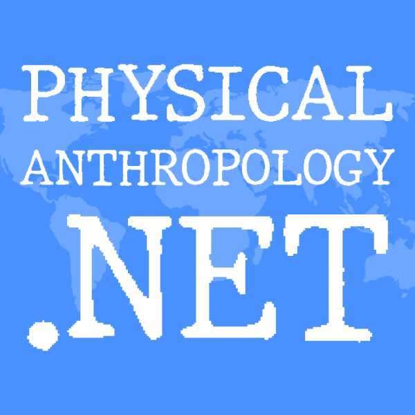 File:New Project (62).png
