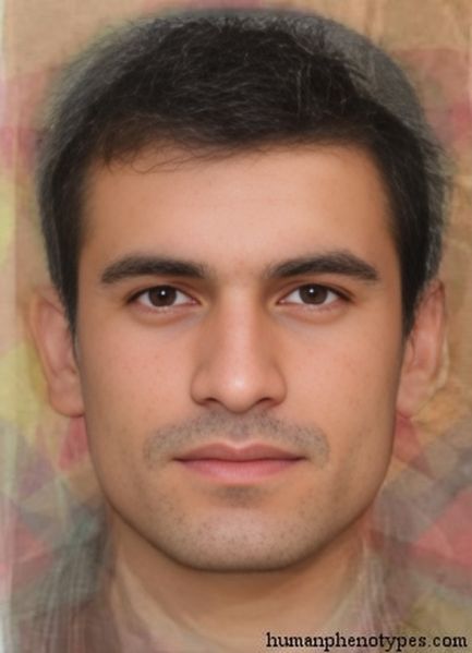 File:Protoiranidm.jpg
