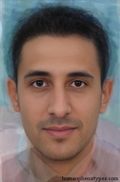 File:Libyidm.jpg