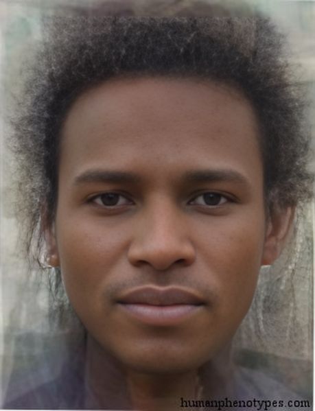 File:Protoethiopidm.jpg